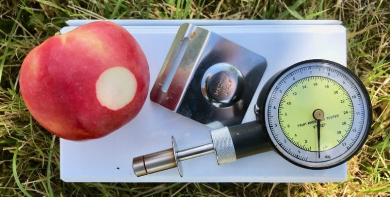 Penometer för mätning av fasthet hos äpple