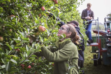 Framtidens Frukt 1 Foto Anki Blomqvist