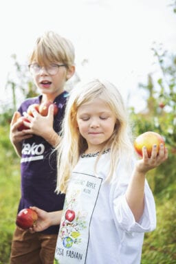 Framtidens Frukt 17 Foto Anki Blomqvist